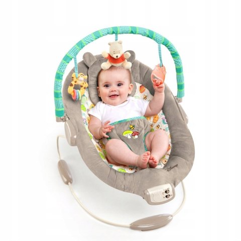 BRIGHT STARTS LEŻACZEK Disney Kubuś Puchatek BRIGHT STARTS LEŻACZEK Disney Kubuś Puchatek