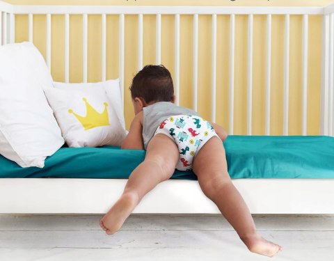 Bambino Mio Majtki Treningowe 18-24 miesiące Bambino Mio Majtki Treningowe 18-24 miesiące