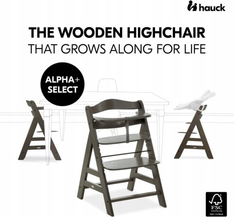 Krzesełko Hauck Alpha + Drewno Bukowe Antracyt Krzesełko Hauck Alpha + Drewno Bukowe Antracyt