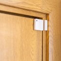 Inteligentny Alarm Z Czujnikiem Ruchu Shelly
