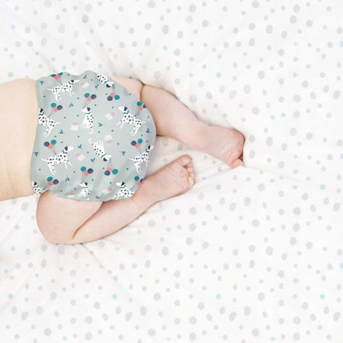 Bambino Mio Mioduo zestaw startowy pieluszek wielorazowych pojemnik Bambino Mio Mioduo zestaw startowy pieluszek wielorazowych pojemnik