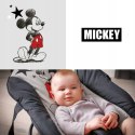 Hauck Disney Rocky Leżaczek bujaczek do 9kg