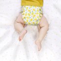 Otulacz Do Pieluch Pielucha Wielorazowa PUL Bambino Mio Cytrynki