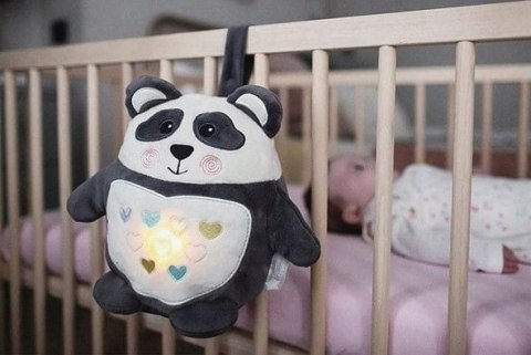 Tommee Tippee Panda szumiąca przytulanka lampka Tommee Tippee Panda szumiąca przytulanka lampka