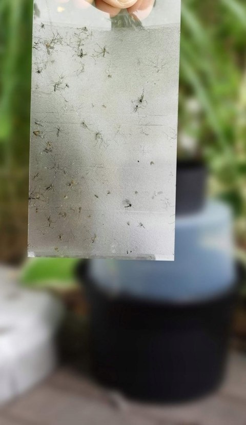 Pułapka przeciwko komarom BIOGENTS Pułapka przeciwko komarom BIOGENTS