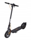 Hulajnoga elektryczna Segway-Ninebot F2 D