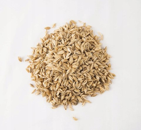 Merrymama poduszka rogal ciążowy do karmienia Merrymama poduszka rogal ciążowy do karmienia