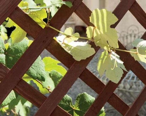 Pergola drewno VERDELOOK krata 150/ 103 cm