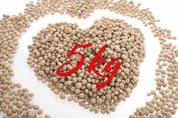 Luźne wypełnienie do Termoforu pestki wiśni Medi partners 5kg