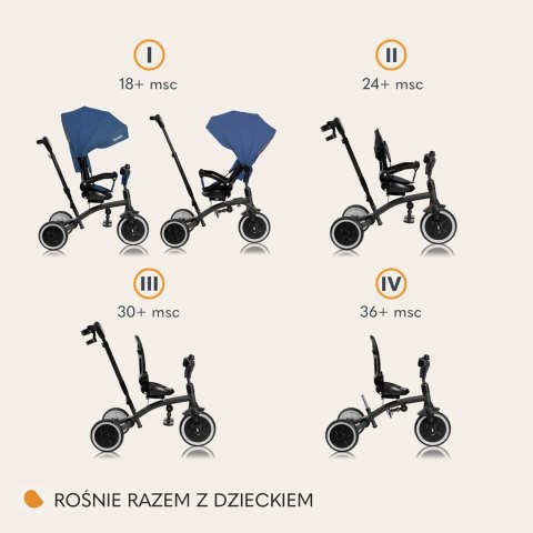 Rower trójkołowy Lionelo Tris Plus Niebieski