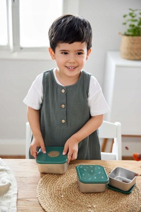 Lassig Pojemnik na przekąski Snackbox 3 szt. Happy Ras