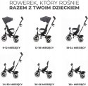 ROWEREK TRÓJKOŁOWY Aston Kinderkraft Szary