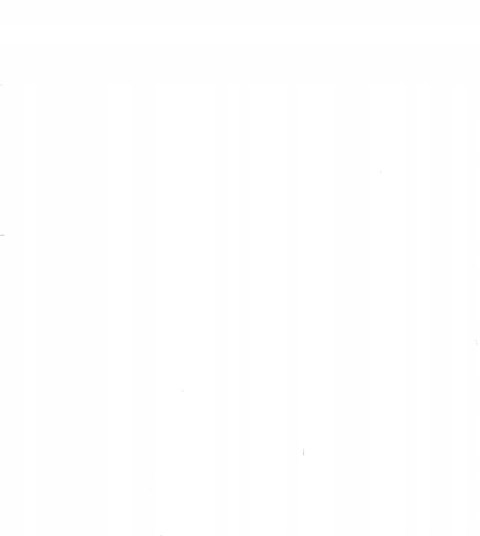 Bebeconfort Kiwi krzesełko do karmienia 3w1 Warm Gray