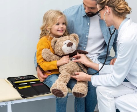 DELOA U-Ledger organizer na dokumenty