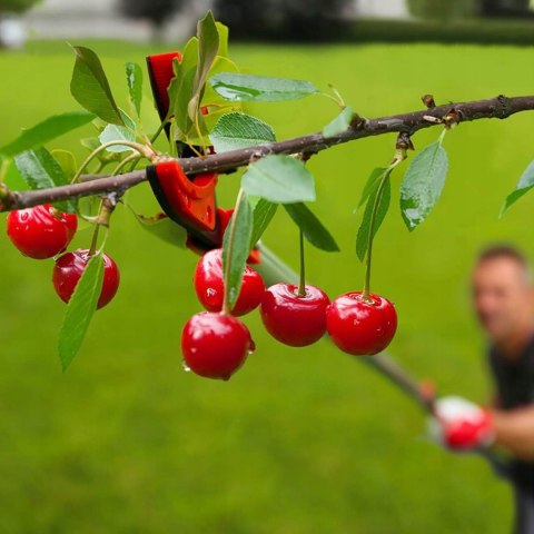 Nożyce do zbierania owoców Teleskopowe