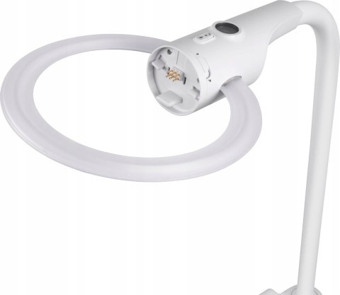 Motorola niania elektroniczna z kamerą MBP944 Connect
