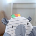 Ingenuity Chodzik Interaktywny Składany Zebra